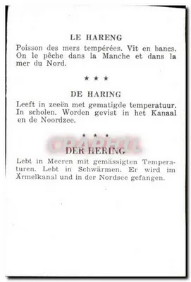 De haring — Vis van de gematigde zeeën — Achterkant
