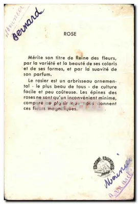 Róża — Calvet-Rogniat — Wydawnictwo Edukacyjne Paris — Rewers