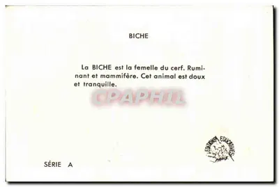 La Biche — zwierzęta lasu — Carvet-Rognior, seria A — Rewers