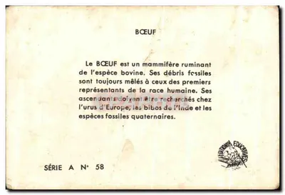 Krowy — Calvet-Rogniot — Série A N° 58 — Rewers