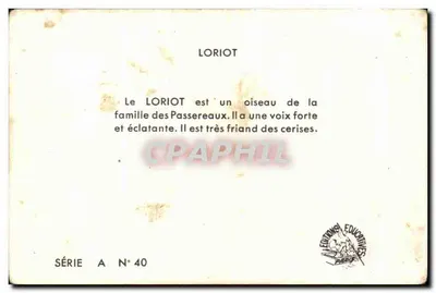 O Loriot — Série A N° 40 — Éditions Éducatives Paris — Verso