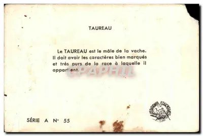 Byk — seria A nr 55 — Éditions Éducatives Paris — Rewers