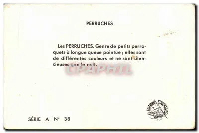 As periquitas — série A N° 38 — Éditions Éducatives — Verso