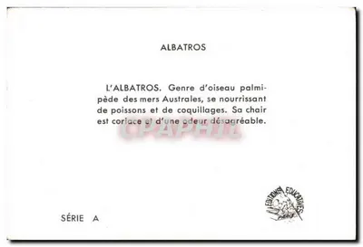 O albatroz — série A — Éditions Éducatives Paris — Verso