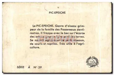 Góra szpilka — seria A nr 39 — Wydawnictwo Edukacyjne Paryż — Rewers