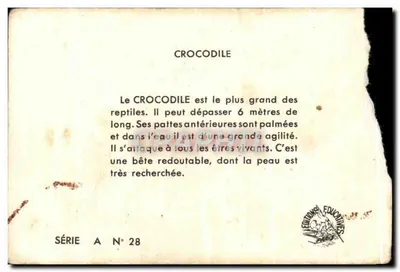 O crocodilo — Editor: Edições Educativas, Paris — Série A N° 28 — Verso