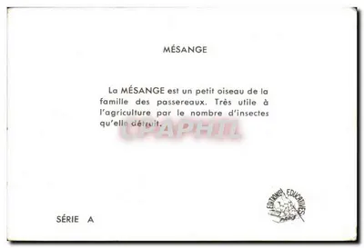 Mésange à longue queue — Edições Educativas Paris — Série A — Verso