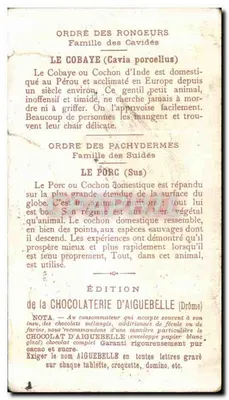 Chromo Le Monite des Mammiferes Chocolaterie d'Aiguebelle Drome Porc Cobaye Hamster Cochon — Rewers