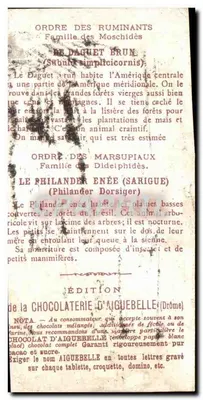 O Mundo dos Mamíferos — América — Ordem dos Ruminantes & Marsupiais — Edição da Chocolateria d'Aiguebelle (Drôme) — Verso