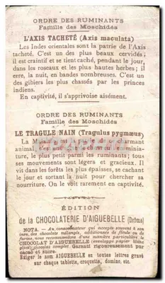Chromo Le Monde Des Mammiferes Tragule Axis — Verso