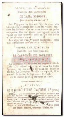 Ameryka — Ssaki — Wydawnictwo CHOCOLATERIE d'AIGUEBELLE (Drôme) — Rewers