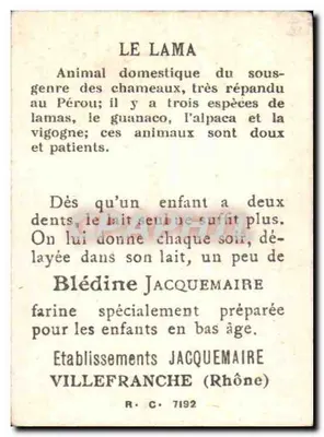 O Lama — Bon Point — Ed. JACQUEMAIRE — Verso