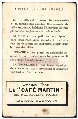 Alfabeto de História Natural — U — Urocyon, Uranie, Urubu, Utriculaire — Ofertado pelo « Café Martin » — Verso