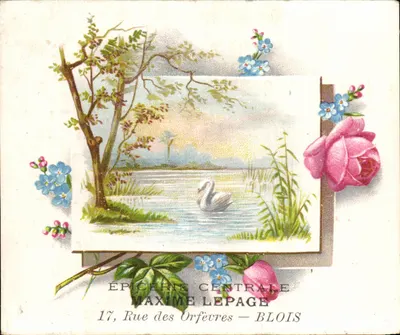 Epiceria Central Maxime Lepage — Blois — cena de lago com cisne
