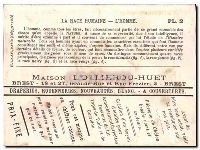 Cztery rasy ludzkie — H. Paris (Disposé N°133) — Nr 2 — Rewers