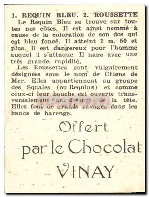 Tubarão Azul e Roussette — coleção de peixes — oferecida pelo Chocolate Vinay — Verso