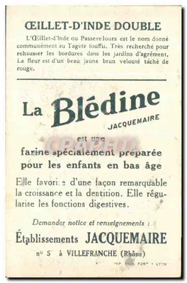 ŒILLET D'INDE DOUBLE — publicité pour la Blédine — éditeur Jacquemaire — Verso