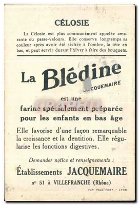 Célosie — Blédine — Zakłady Jacquemaire, n°51 w Villefranche (Rhone) — Rewers