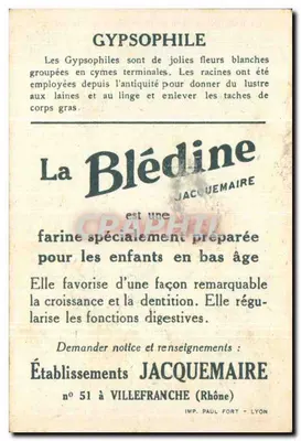 Gypsophile — lek leczniczy — wydawca Jacquemaire, n° 51 — Rewers