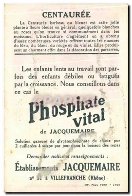 Centaurée — fleurs bleues et blanches — Établissements Jacquemaire — Rewers