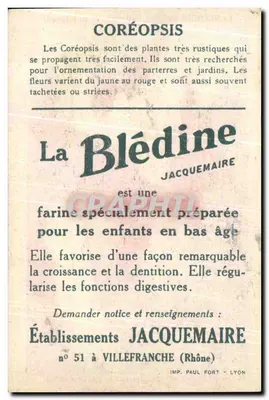 Koręgowiec — La Blédine — Wydawca Jacquemaire, nr 51 w Villefranche (Rhône) — Rewers