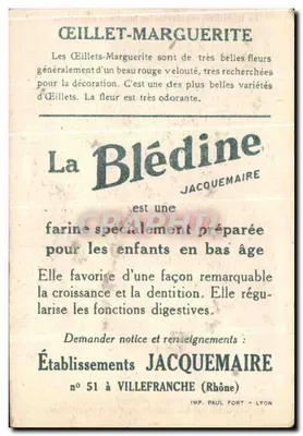 ŒILLET-MARGUERITE — La Blédine — Établissements Jacquemaire, Lyon — Verso