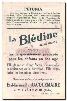Pétunia — Blédine — Zakłady Jacquemaire, nr 51 w Villefranche (Rhône) — Rewers