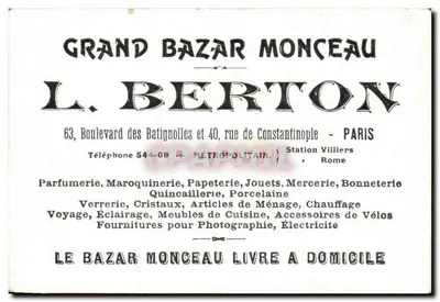 Gingembre — Zingiber officinale — No.3 — editor desconhecido — Verso