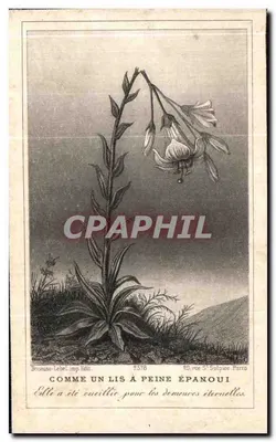 Marie Boulière — Lembrança da sua 1ª ano — Bonasse-Lebel, imp. Edit. n°3378 — Verso