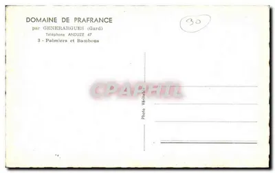 Floresta de bambus — Domínio de Prafrance, Gard — por GÉNÉRARGUES — Verso