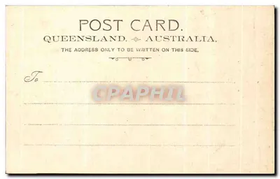 Brisbane — Ufficio Portuale — Hafenamt — Stengel & Co, Dresda 12124 — Verso