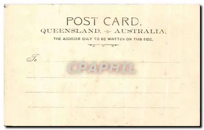 Jardim botânico — Brisbane — Stempel & Co., Dresde, 1908 — Verso