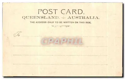 Queen and Eagle str. — Brisbane — Shingal & Co. Brisbane, n° 19380 — Verso