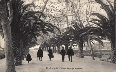 Ventimiglia - Corso Principe Amedeo — vista de uma promenade arborizada com palmeiras e pedestres