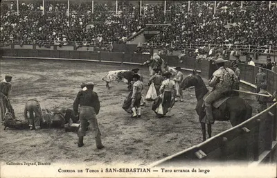 Corrida bydła w San-Sebastián — bydło ucieka daleko — kolekcja Jugand, Biarritz
