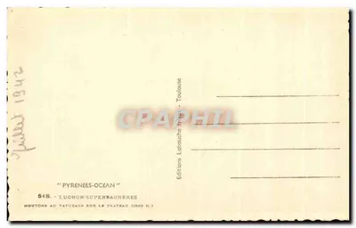 Owce paszące się na plateau — Pyrénées-Océan — Wydawnictwo Labouche — nr 548 — Rewers