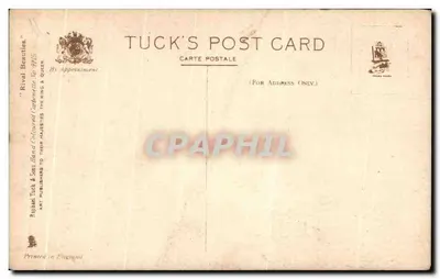 Giovane donna in abito bianco — davanti a piume di pavone — Tuck's Post Card n° 2415 — Verso