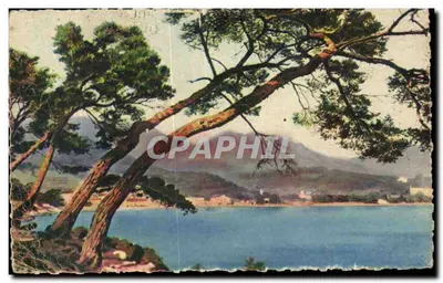 Vue du Cap Martin — Paysage du Cap Martin — Éditions A.M. (Aix-en-Provence)
