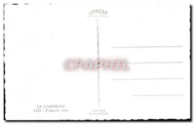 La Camargue — Flamingowiec różowy — Lumicap, Paryż — Rewers