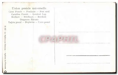 Stara pocztówka Egipt Ptak Simoun — Rewers