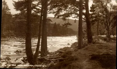 O Dee perto de Balmoral — vista na floresta — Judges' Ltd., Hastings