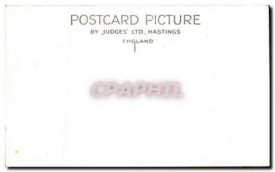 O Dee perto de Balmoral — vista na floresta — Judges' Ltd., Hastings — Verso