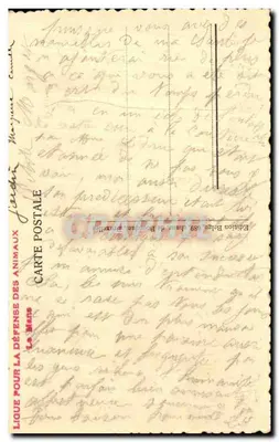 São Francisco de Assis — com pássaros — Edição La Maîne — Verso