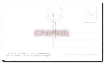 Massif de l'Aigoual — Pâturage w spokojnej dolinie Trévezel, na trasie Meyrueis do Aigoual — Spółka Kart APA — Rewers