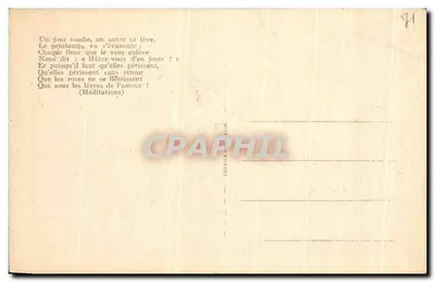 Saint-Point — Castelo de Lamartine — As flores — Verso