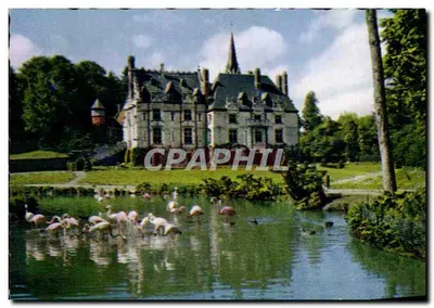 Castelo e flamingos rosa — Parc Zoologique de Clères (Seine-Maritime)