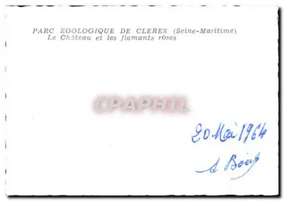 Castelo e flamingos rosa — Parc Zoologique de Clères (Seine-Maritime) — Verso