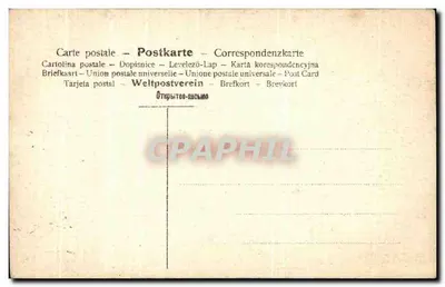 Árvores de bétula em uma encosta arenosa — série 3117/3 — editor não identificado — Verso