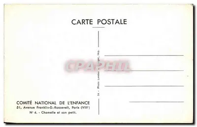 Chamelle e seu filhote — Comitê Nacional da Criança, Paris — Verso