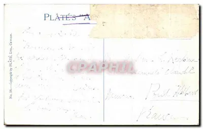 पेराडेनिया बगीचा, सजावटी पैदल रास्ता, सीयल - प्लैटे के 'ए' - संख्या 18 — पीछे